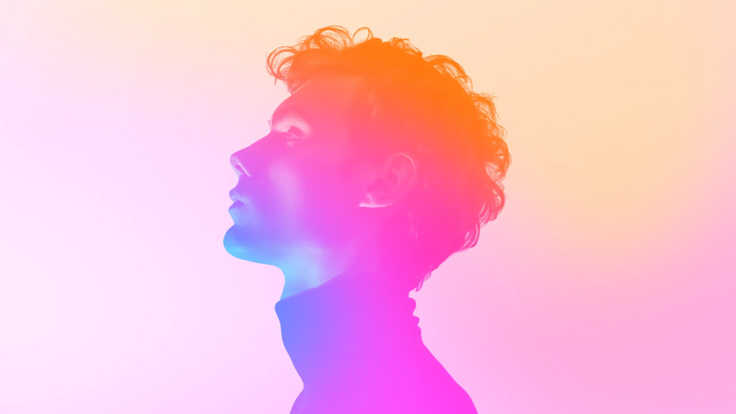 Elevate Your Site to New Heights